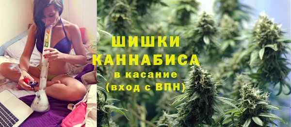 стафф Аркадак