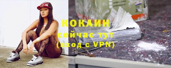 стафф Аркадак